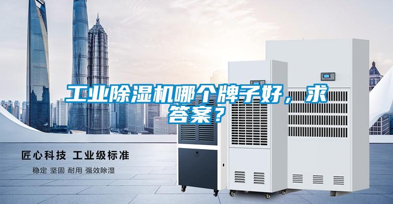 工業(yè)除濕機(jī)哪個(gè)牌子好<div   id=