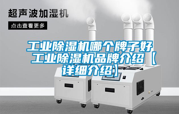 工業(yè)除濕機(jī)哪個牌子好 工業(yè)除濕機(jī)品牌介紹【詳細(xì)介紹】
