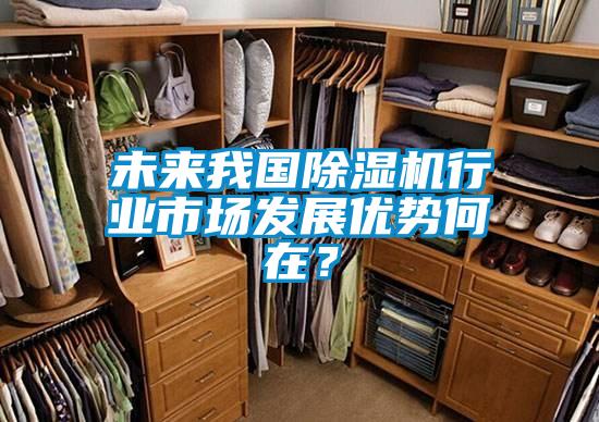 未來我國除濕機行業(yè)市場發(fā)展優(yōu)勢何在<div   id=