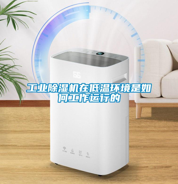 工業(yè)除濕機在低溫環(huán)境是如何工作運行的