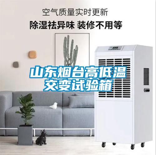 山東煙臺(tái)高低溫交變?cè)囼?yàn)箱