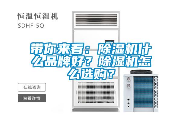 帶你來(lái)看：除濕機(jī)什么品牌好<div   id=