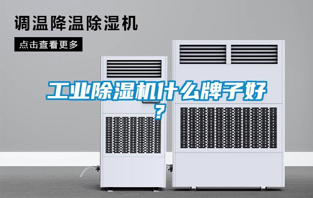工業(yè)除濕機什么牌子好<div   id=