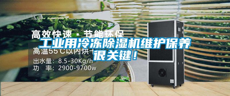 工業(yè)用冷凍除濕機維護保養(yǎng)很關(guān)鍵!
