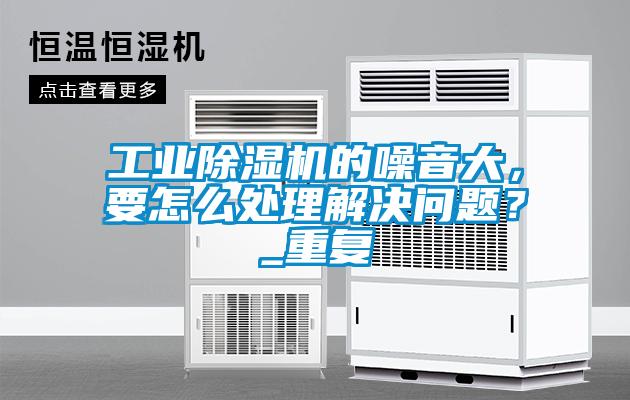 工業(yè)除濕機的噪音大<div   id=