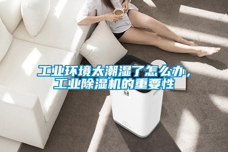 工業(yè)環(huán)境太潮濕了怎么辦<div   id=