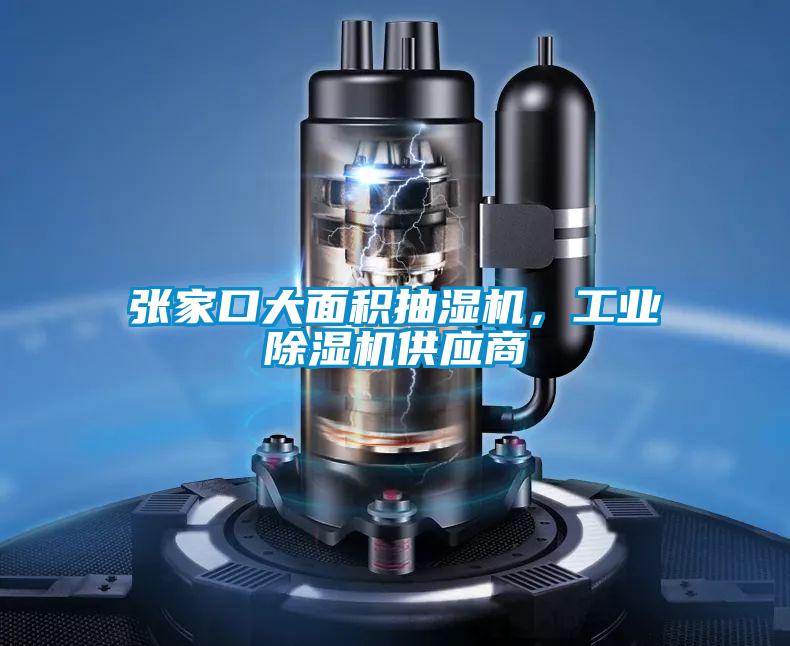 張家口大面積抽濕機(jī)<div   id=