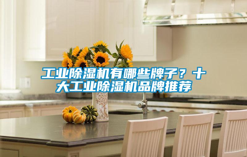 工業(yè)除濕機(jī)有哪些牌子<div   id=