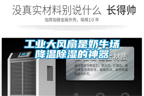 工業(yè)大風(fēng)扇是奶牛場降溫除濕的神器