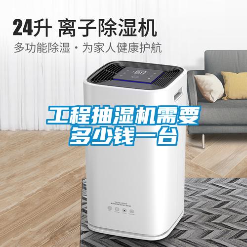 工程抽濕機(jī)需要多少錢(qián)一臺(tái)