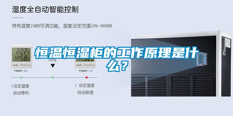 恒溫恒濕柜的工作原理是什么<div   id=