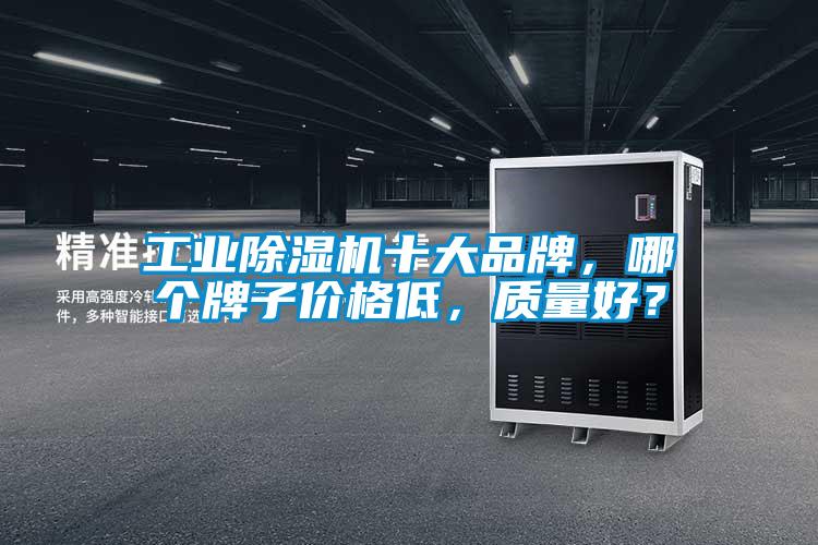 工業(yè)除濕機十大品牌<div   id=