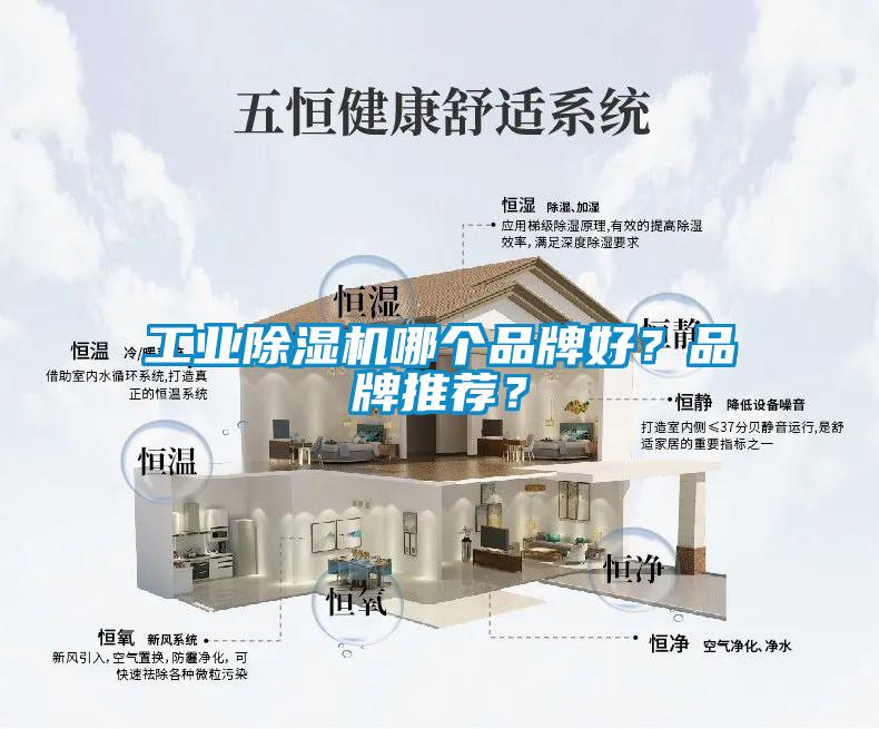 工業(yè)除濕機(jī)哪個(gè)品牌好<div   id=