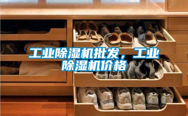 工業(yè)除濕機(jī)批發(fā)<div   id=