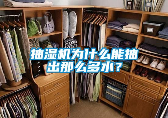 抽濕機(jī)為什么能抽出那么多水<div   id=