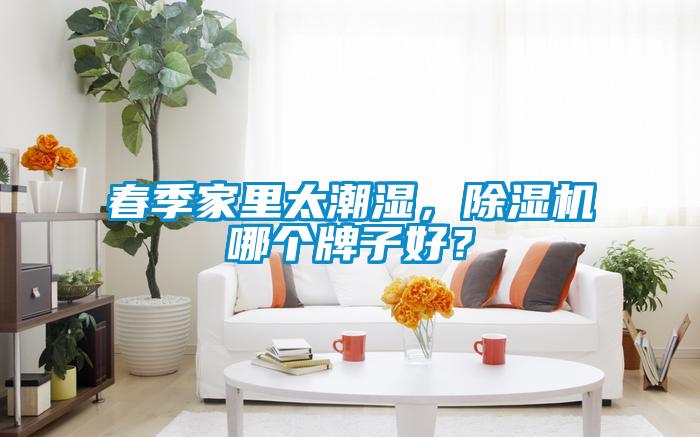 春季家里太潮濕<div   id=