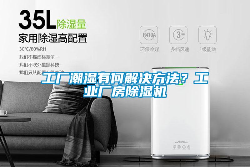 工廠潮濕有何解決方法<div   id=