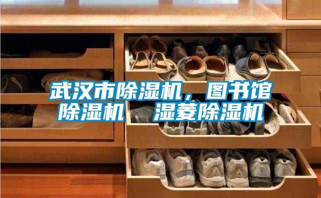 武漢市除濕機(jī)<div   id=