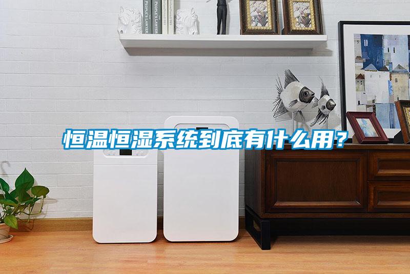 恒溫恒濕系統(tǒng)到底有什么用<div   id=