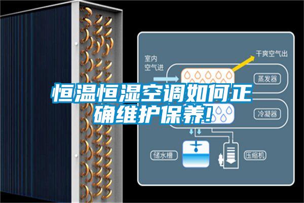 恒溫恒濕空調(diào)如何正確維護保養(yǎng)!
