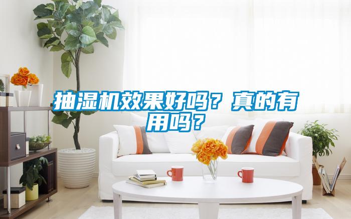 抽濕機(jī)效果好嗎<div   id=