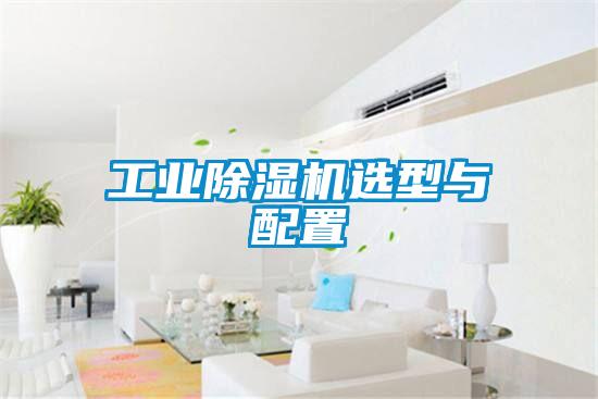 工業(yè)除濕機選型與配置