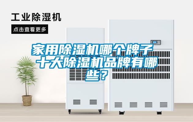家用除濕機(jī)哪個(gè)牌子 十大除濕機(jī)品牌有哪些<div   id=