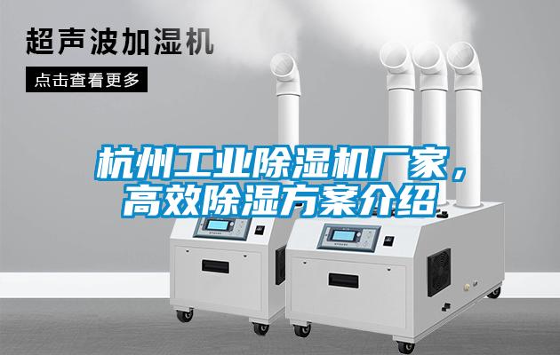 杭州工業(yè)除濕機(jī)廠家<div   id=