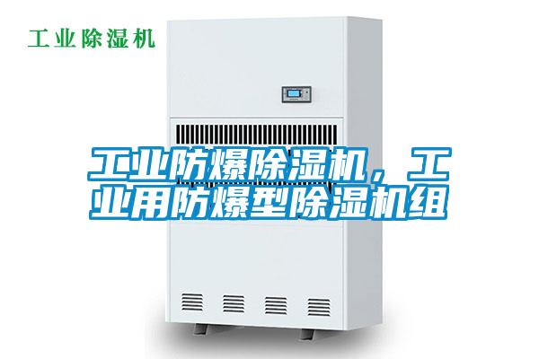工業(yè)防爆除濕機<div   id=