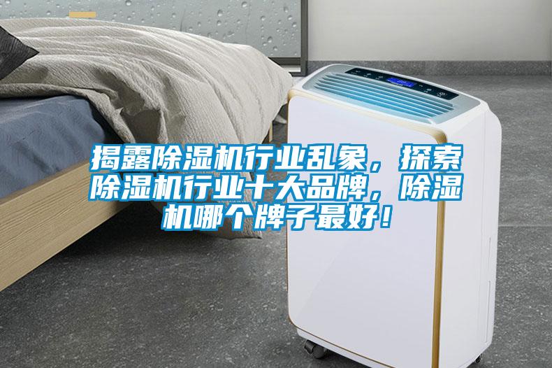 揭露除濕機(jī)行業(yè)亂象<div   id=
