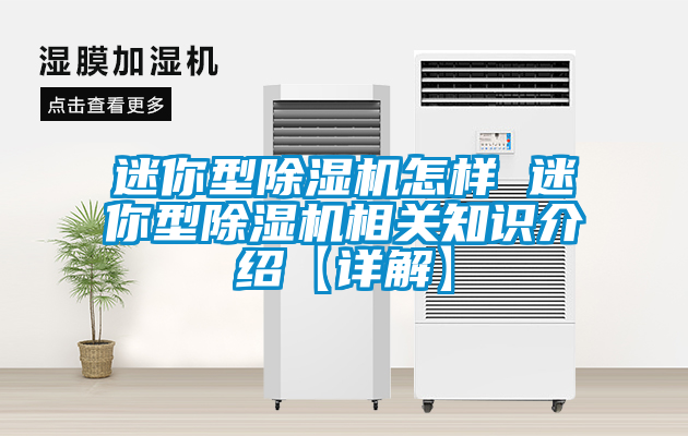 迷你型除濕機(jī)怎樣 迷你型除濕機(jī)相關(guān)知識介紹【詳解】