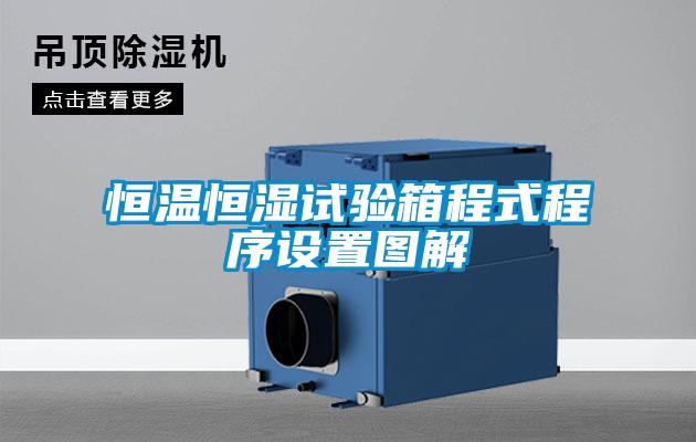 恒溫恒濕試驗箱程式程序設(shè)置圖解