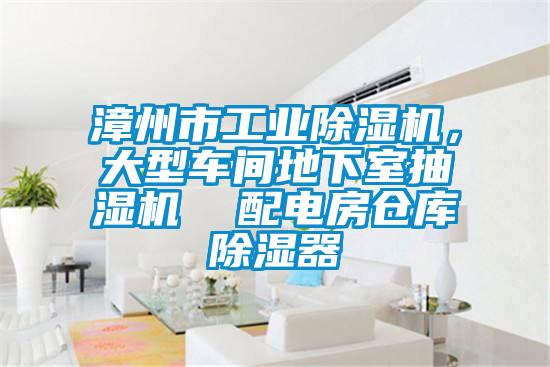 漳州市工業(yè)除濕機(jī)，大型車(chē)間地下室抽濕機(jī)  配電房倉(cāng)庫(kù)除濕器