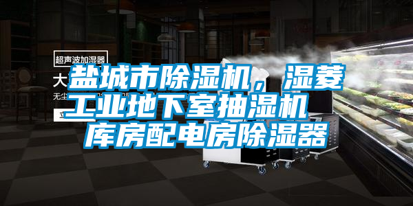 鹽城市除濕機(jī)<div   id=
