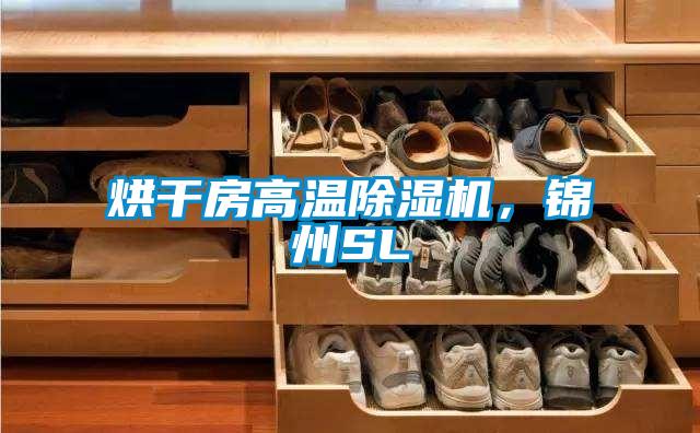 烘干房高溫除濕機(jī),錦州SL