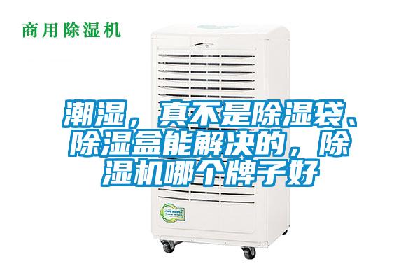 潮濕<div   id=