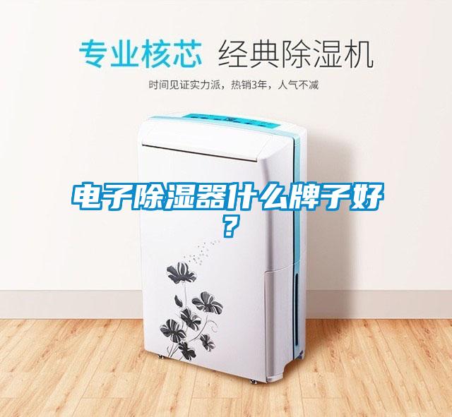 電子除濕器什么牌子好<div   id=