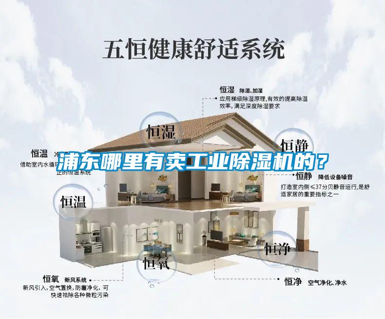 浦東哪里有賣工業(yè)除濕機(jī)的<div   id=