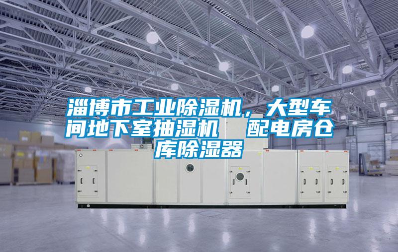 淄博市工業(yè)除濕機(jī)<div   id=