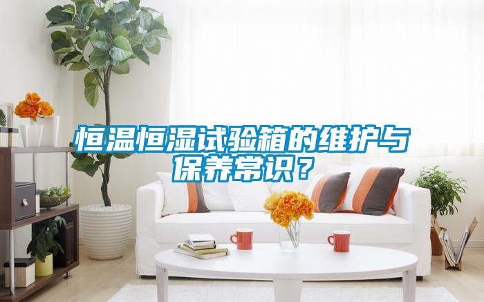 恒溫恒濕試驗箱的維護與保養(yǎng)常識？