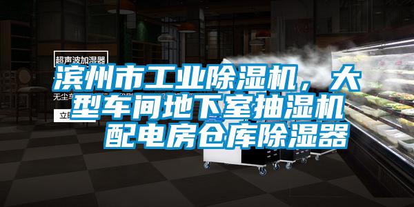 濱州市工業(yè)除濕機(jī)，大型車(chē)間地下室抽濕機(jī)  配電房倉(cāng)庫(kù)除濕器