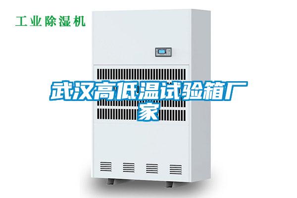 武漢高低溫試驗(yàn)箱廠(chǎng)家