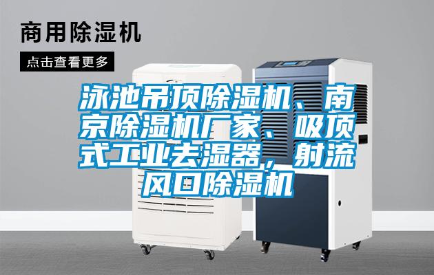 泳池吊頂除濕機、南京除濕機廠家<div   id=