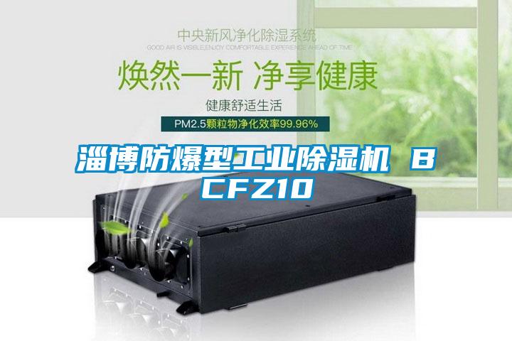淄博防爆型工業(yè)除濕機 BCFZ10