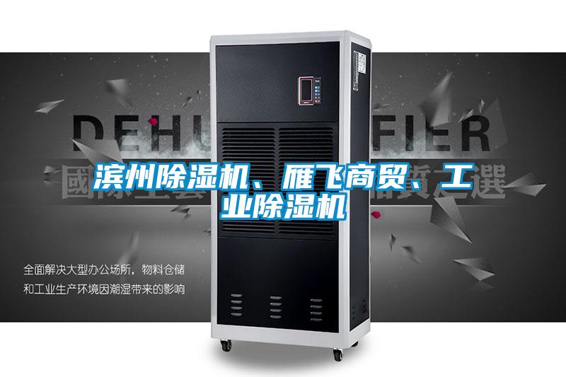 濱州除濕機(jī)、雁飛商貿(mào)<div   id=