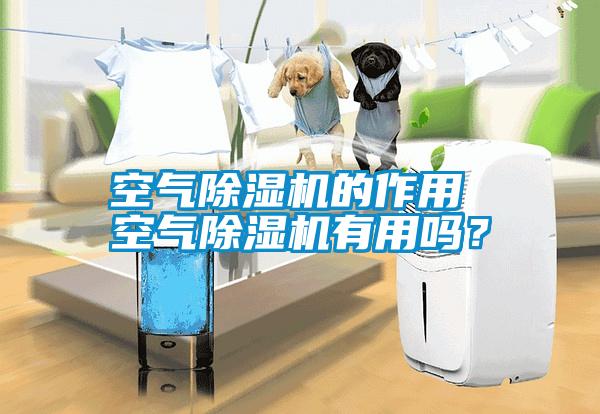 空氣除濕機(jī)的作用 空氣除濕機(jī)有用嗎<div   id=