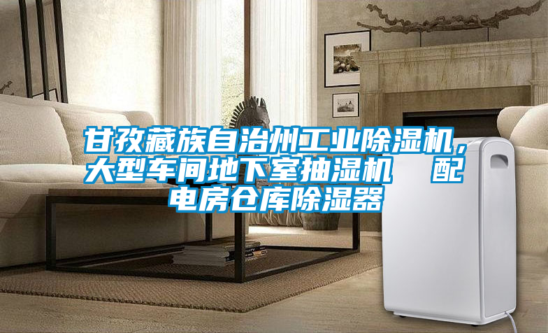 甘孜藏族自治州工業(yè)除濕機(jī)<div   id=