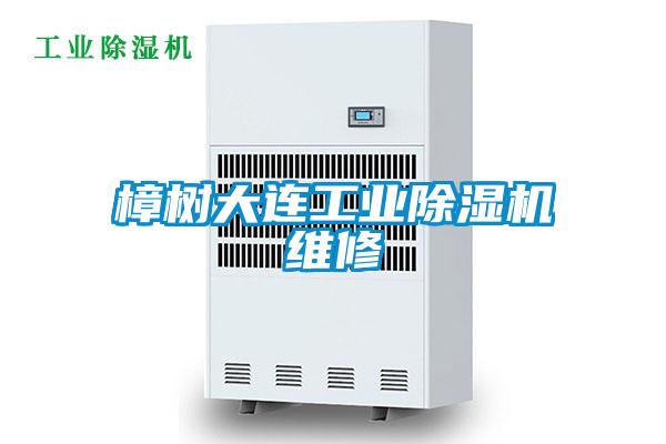 樟樹(shù)大連工業(yè)除濕機(jī)維修