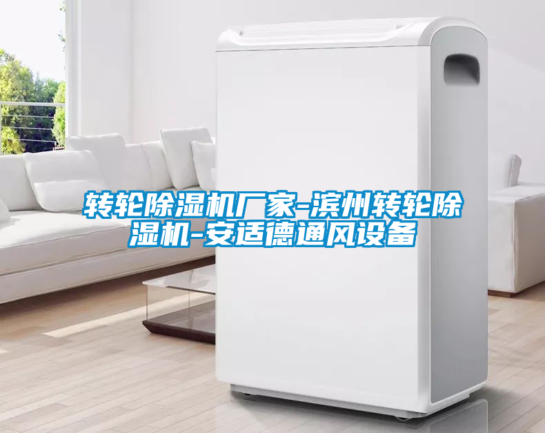 轉(zhuǎn)輪除濕機廠家-濱州轉(zhuǎn)輪除濕機-安適德通風設(shè)備
