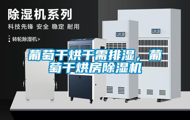 葡萄干烘干需排濕<div   id=